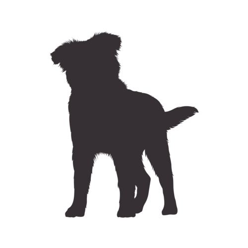 Hundesilhouette Australian Shepherd stehend