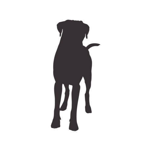 Hundesilhouette Boxer stehend