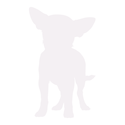 Hundesilhouette Chihuahua stehend