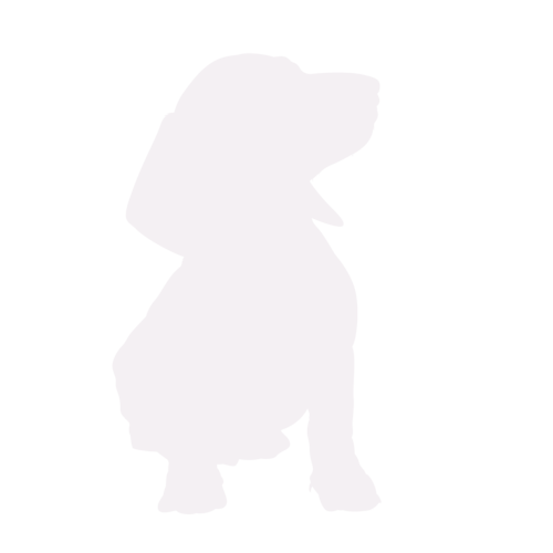 Hundesilhouette Dackel sitzend
