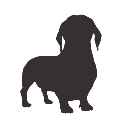 Hundesilhouette Dackel stehend