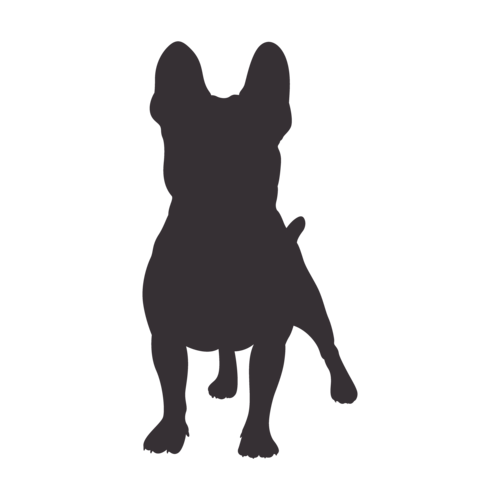 Hundesilhouette Französische Bulldogge stehend
