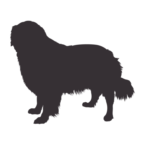 Hundesilhouette Golden Retriever stehend
