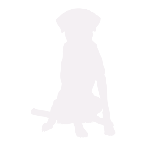 Hundesilhouette Labrador sitzend