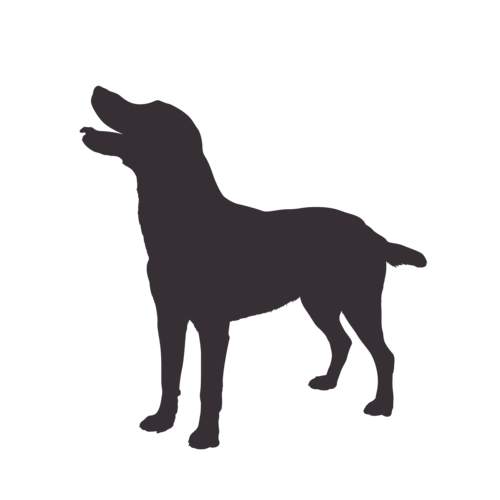 Hundesilhouette Labrador stehend