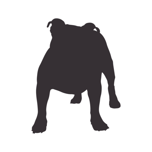 Hundesilhouette Old English Bulldog stehend