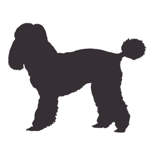 Hundesilhouette Pudel stehend