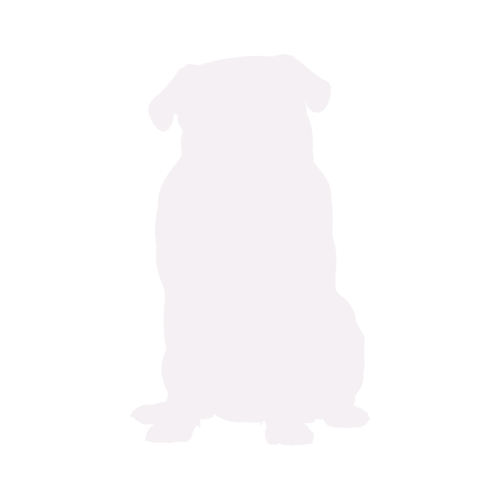 Hundesilhouette Mops sitzend