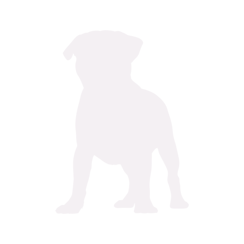 Hundesilhouette Mops stehend