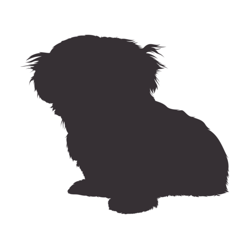 Hundesilhouette Shih Tzu sitzend