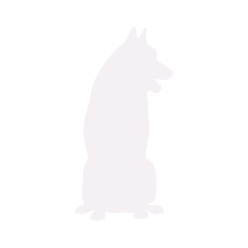Hundesilhouette Siberian Husky sitzend