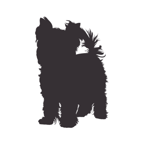 Hundesilhouette Yorkshire Terrier stehend